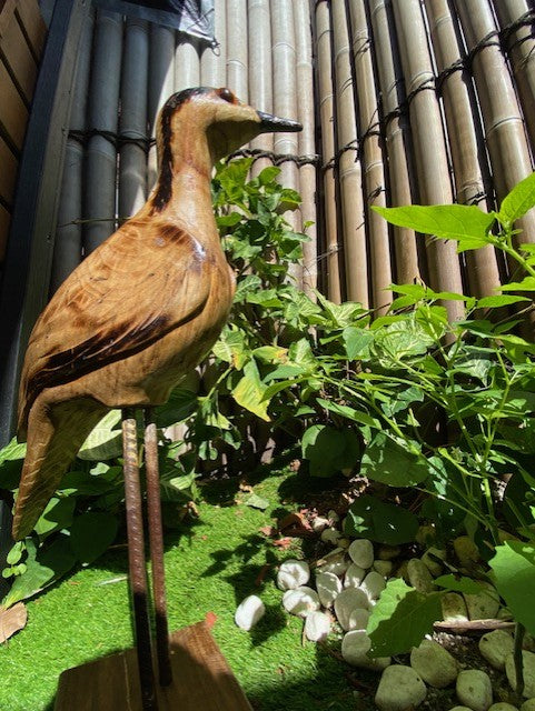 Hand carved wooden Bush Stone Curlew Scultpure