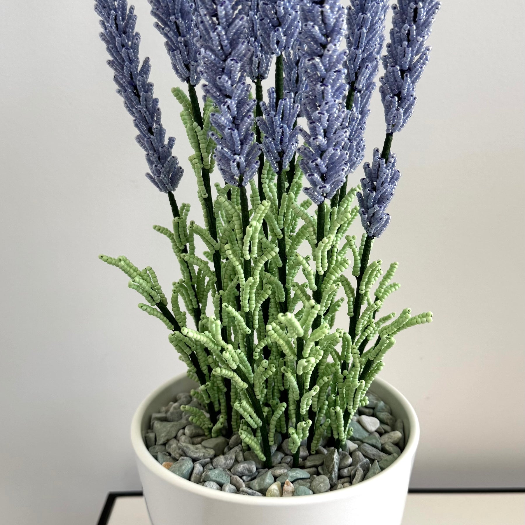 French-beaded potted lavender