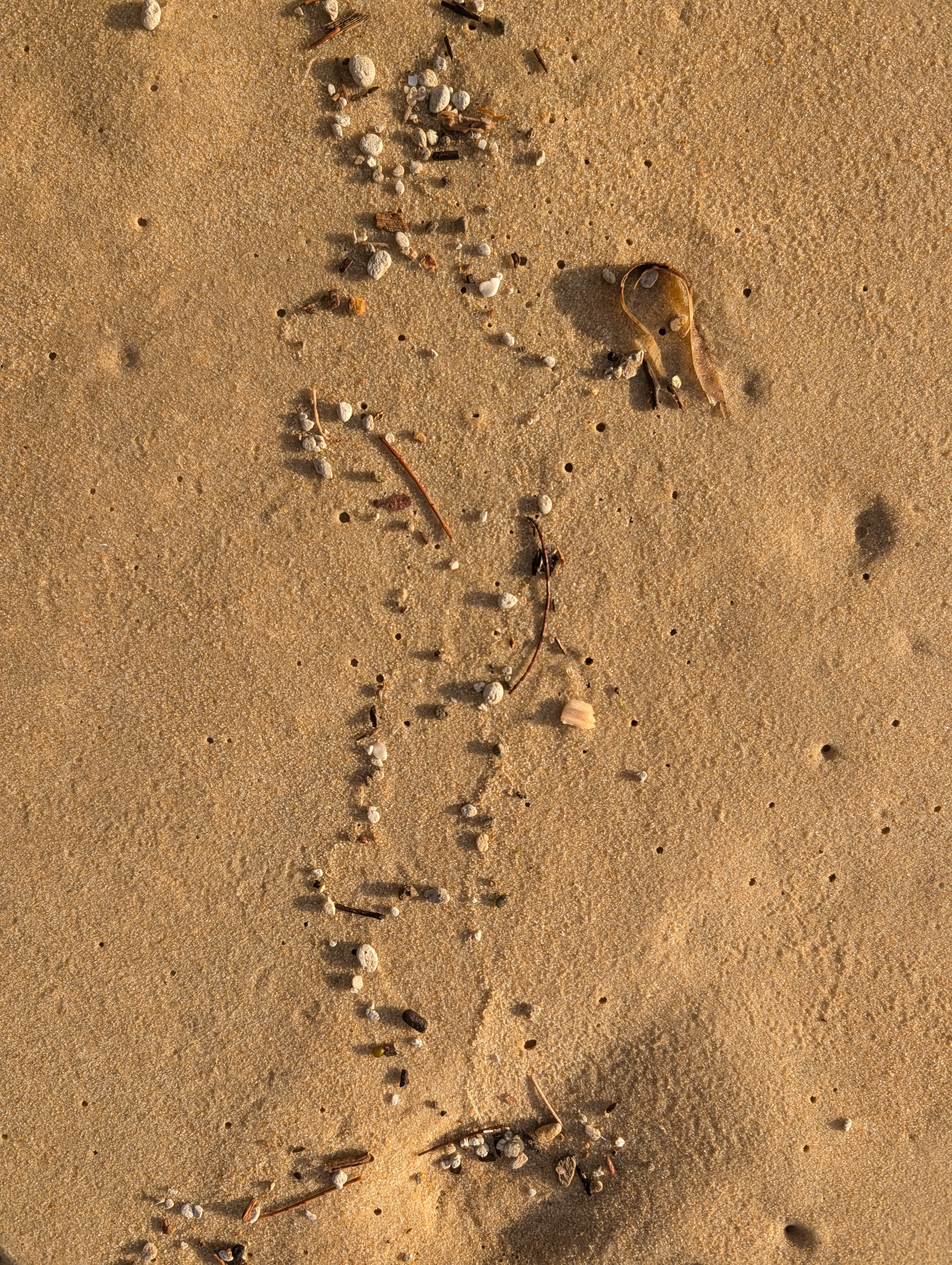 Hand-formed Ceramic Bowl | earthy • functional • everyday