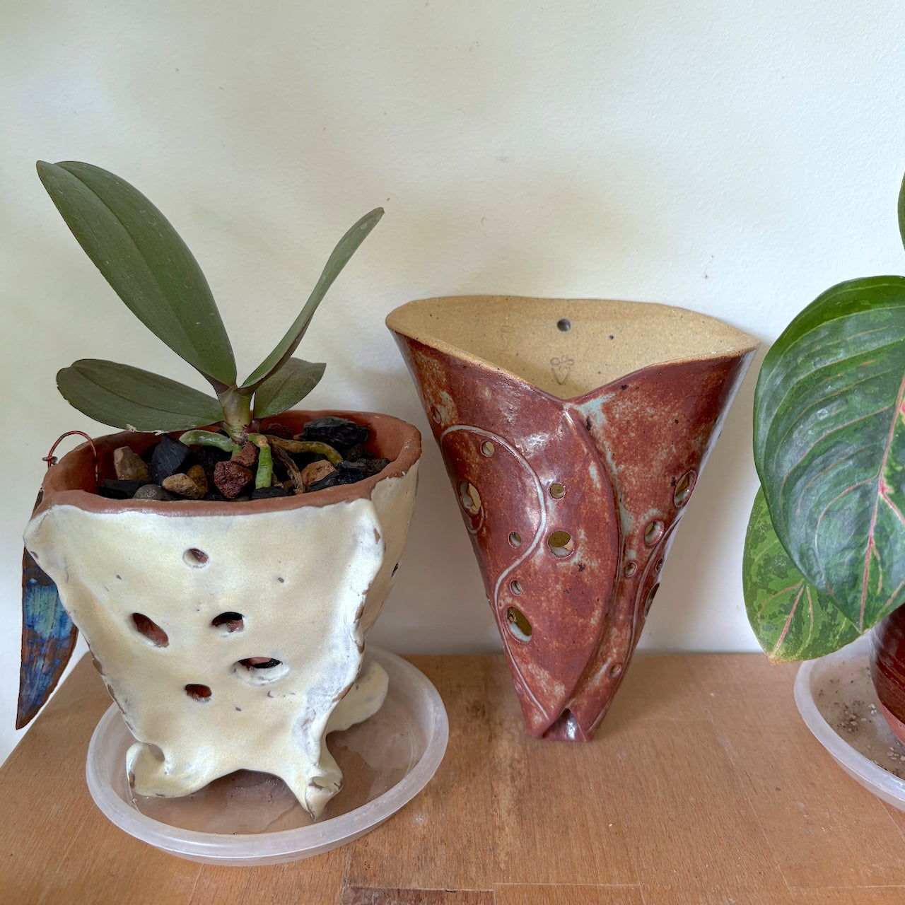 Ceramic wall cone orchid pot