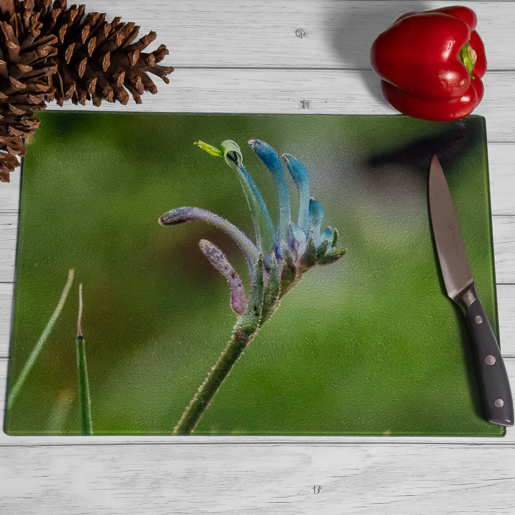 Around the Garden - Chopping Boards - Tempered Glass