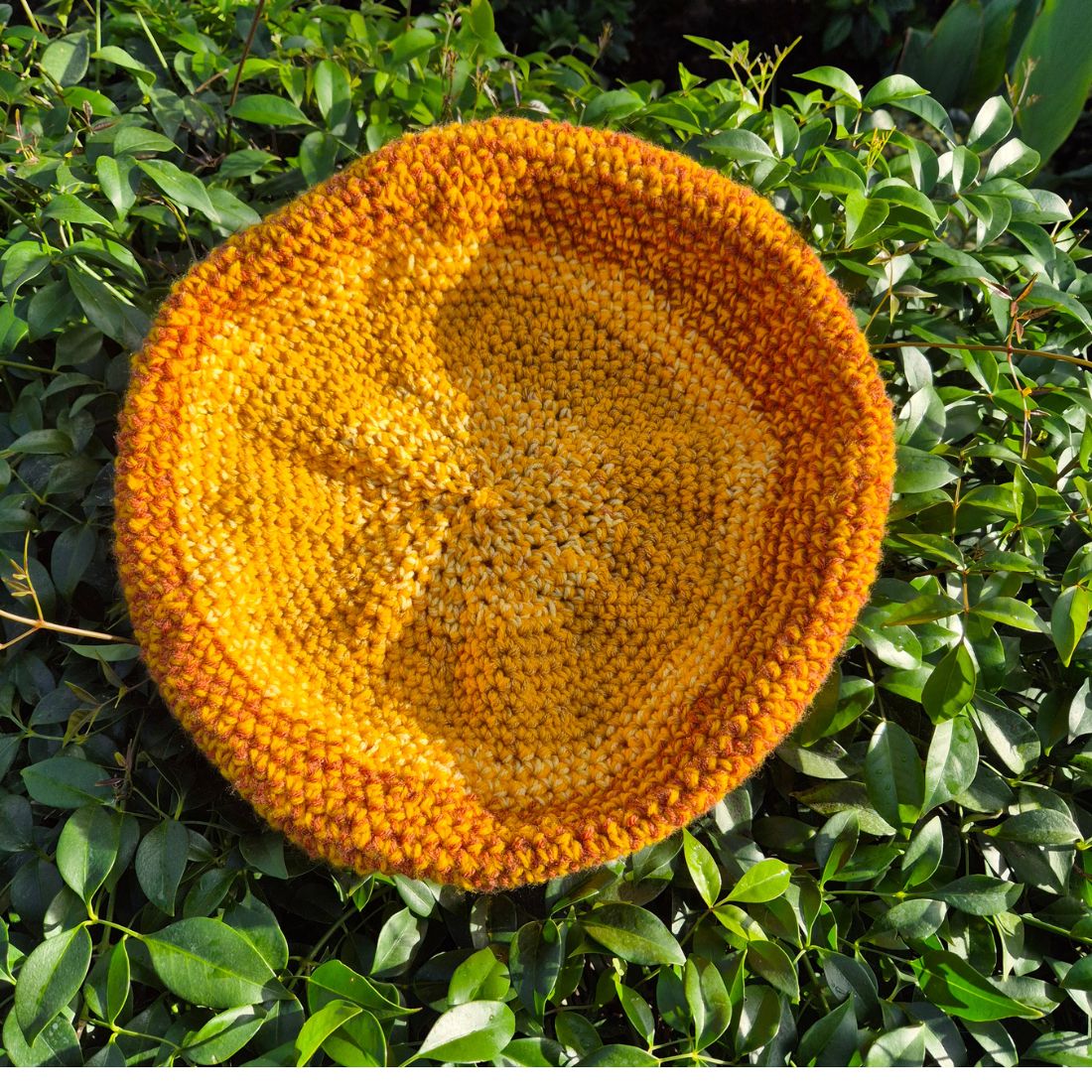 Crochet Cat Dog Bed Pod Versatile