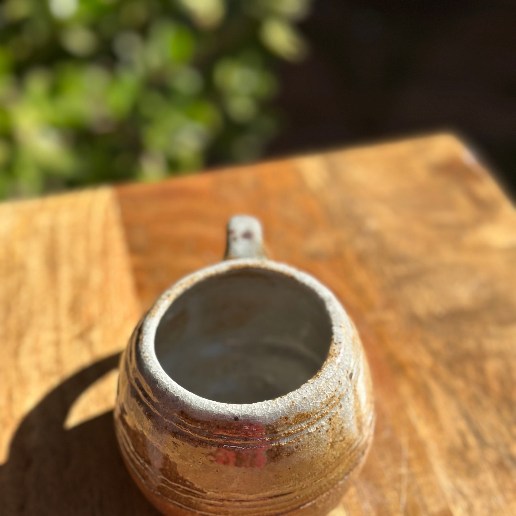 Ironbush Mug - Handmade Ceramic Stoneware Mug