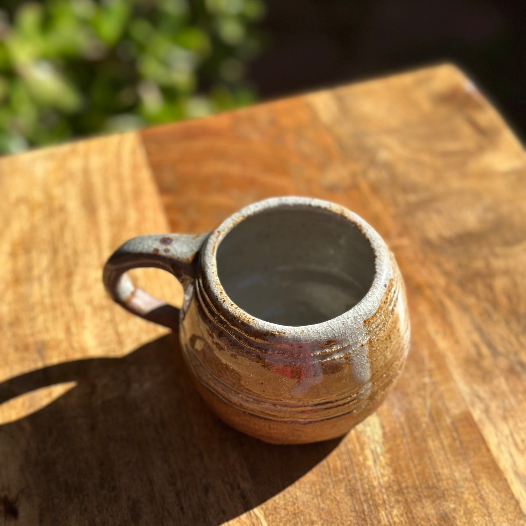 Ironbush Mug - Handmade Ceramic Stoneware Mug