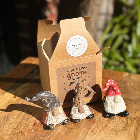 Gonk in a Box - Standard | Handmade Ceramic Mystery Gonk | Australian Handmade Gift