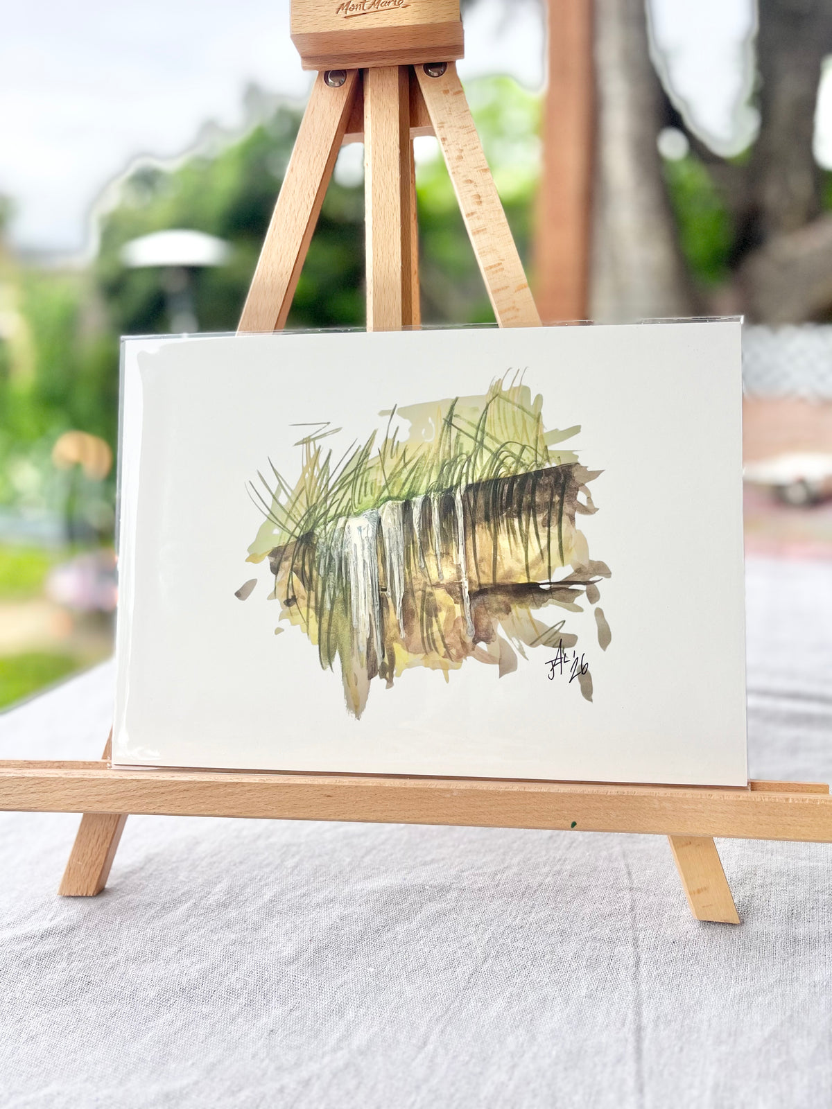 The Drip III | Australian Native Birds Illustration | A4 Print