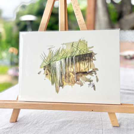The Drip III | Australian Native Birds Illustration | A4 Print