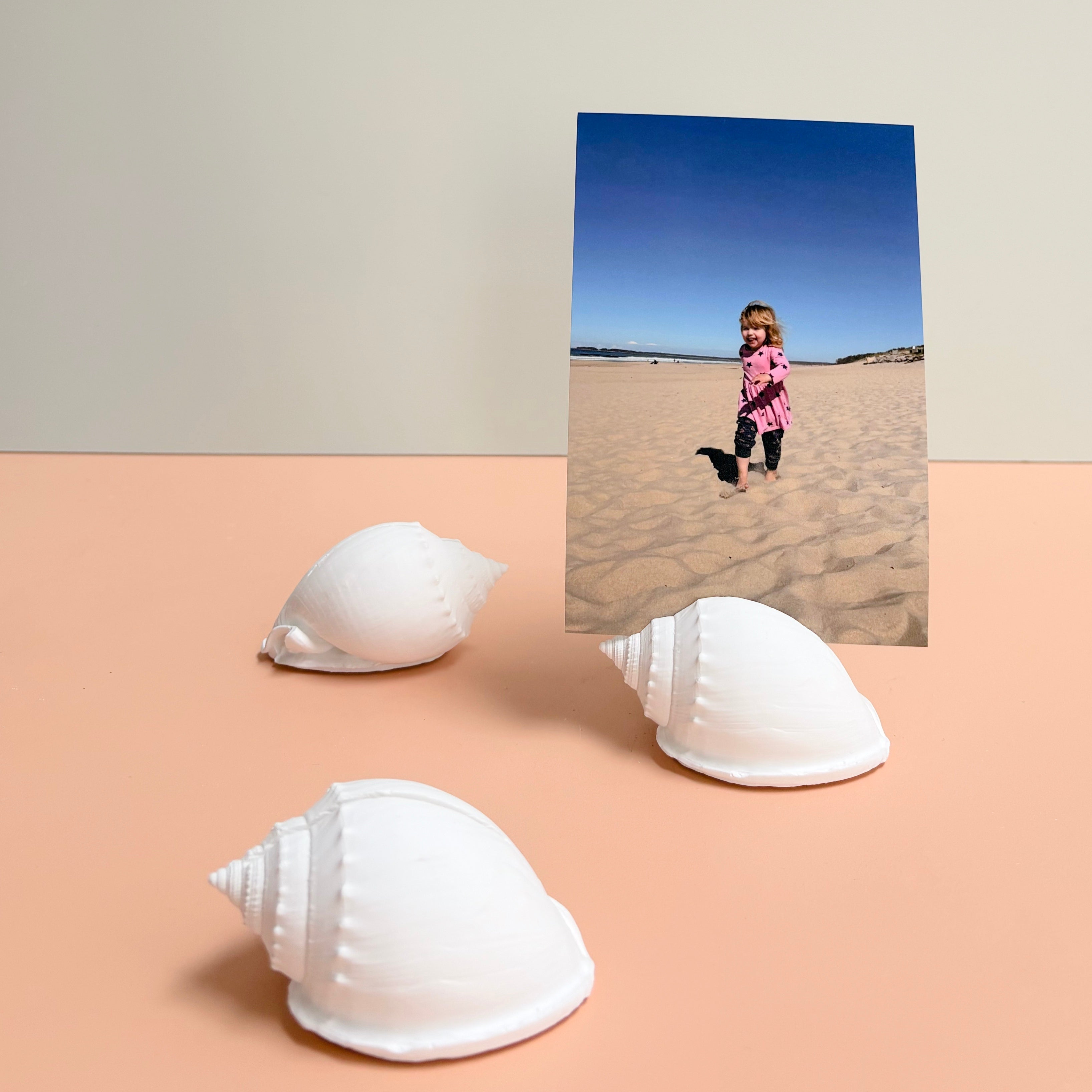 eco resin sea shell photo display