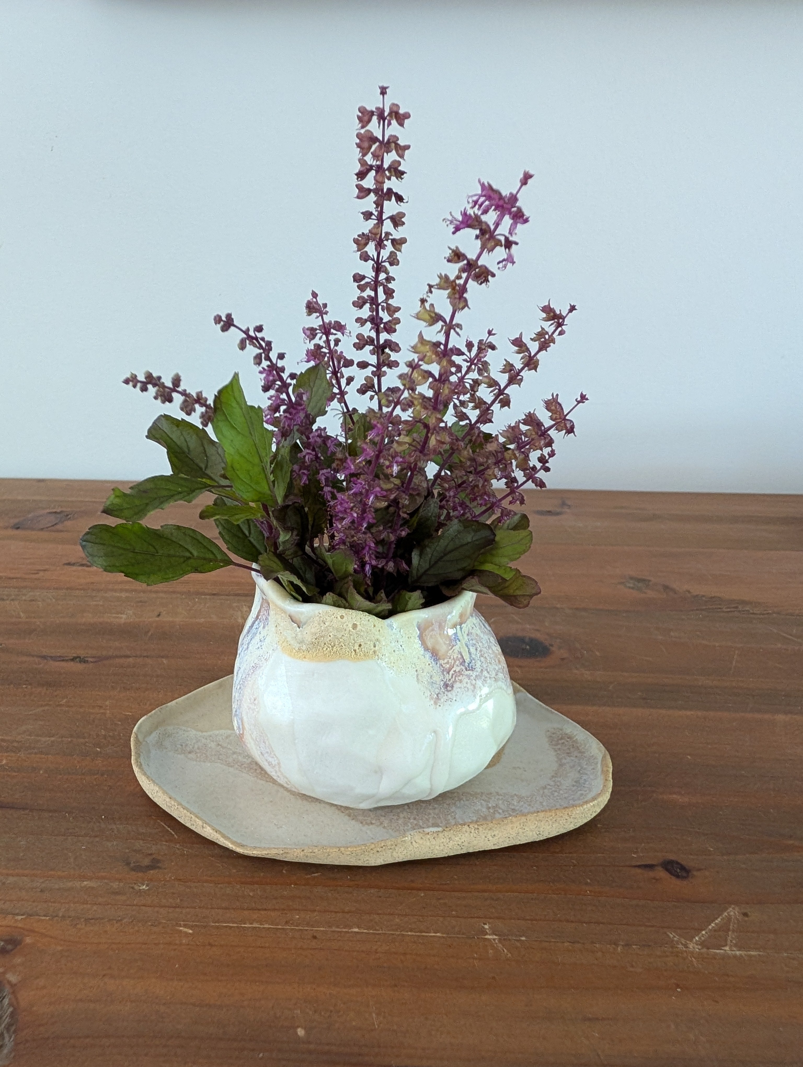 Ceramic Small Vase Set | for foraged herbs and blooms