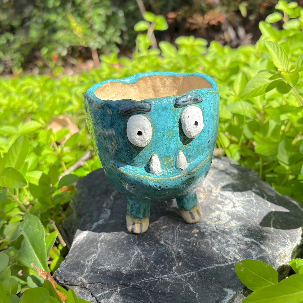 Ceramic monster pot