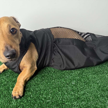 Dachshund Drag Bag/Indoor Mobility Suit/Drag suit/for dog with hind-leg paralysis, weakness, or IVDD recovery