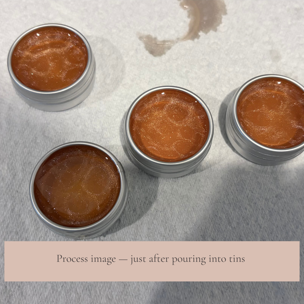Nourishing Lip Balm | Strawberry or Manuka Honey & Caramel | 10g