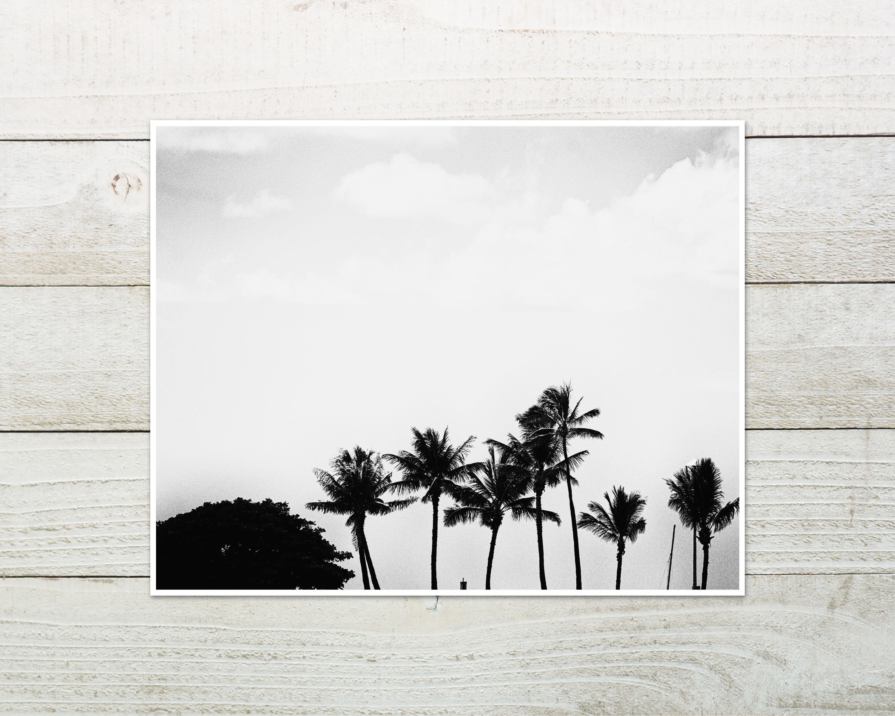 Black and White Palm Wall Art