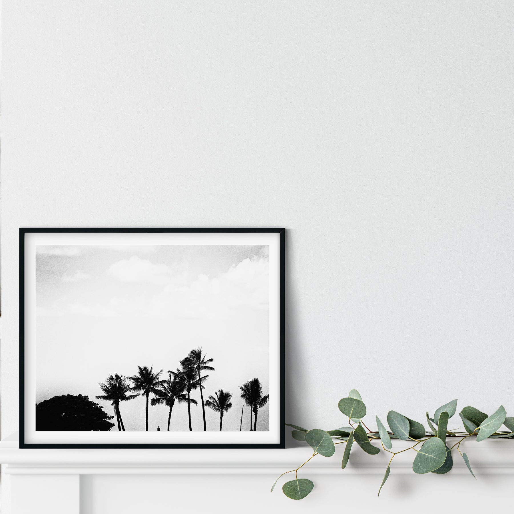 Black and White Palm Wall Art