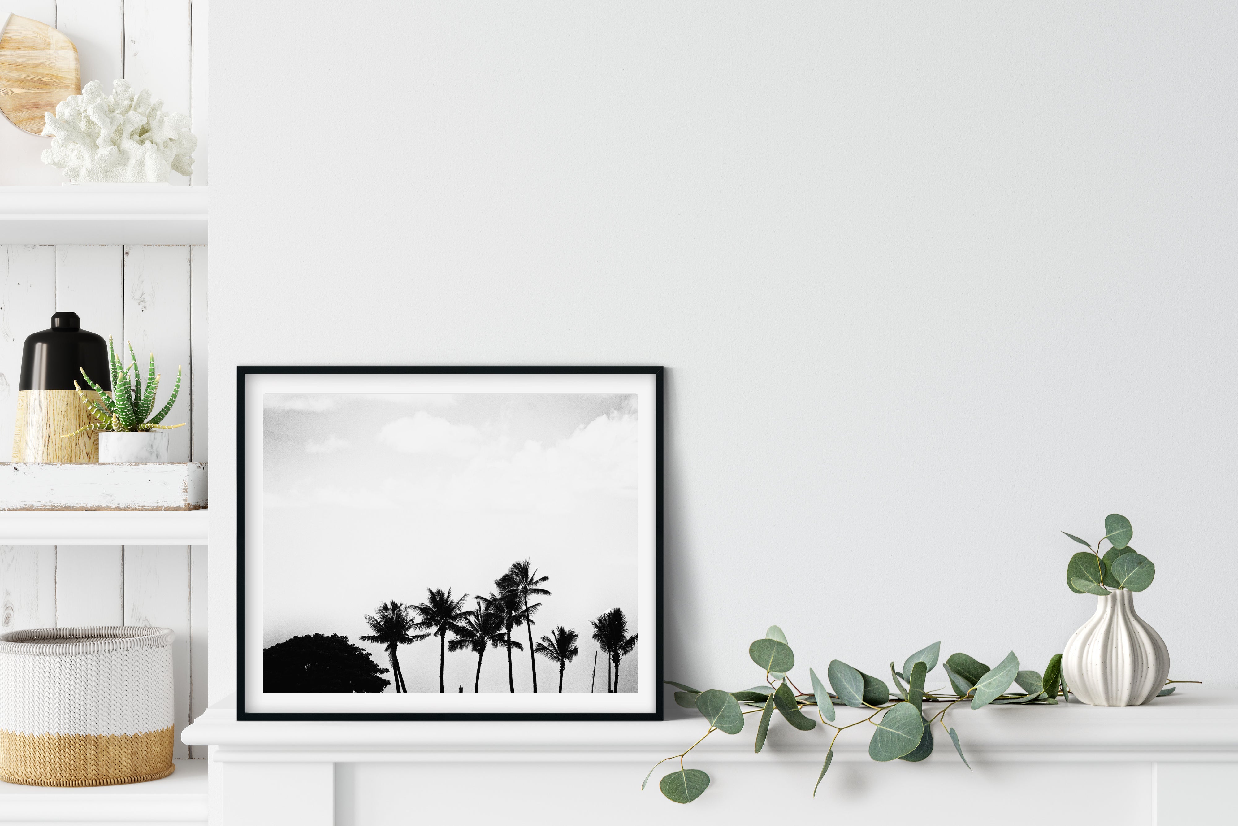Black and White Palm Wall Art
