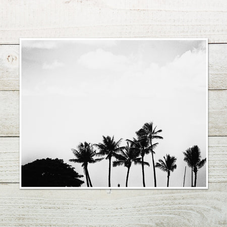 Black and White Palm Wall Art