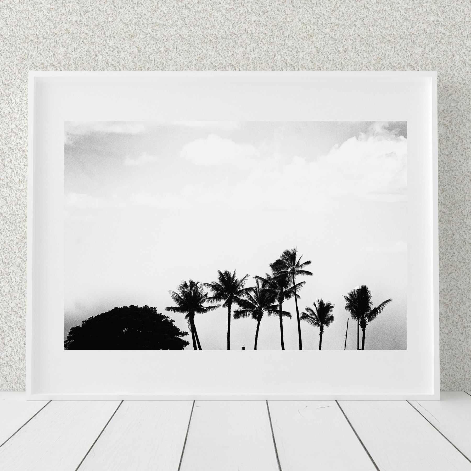 Black and White Palm Wall Art