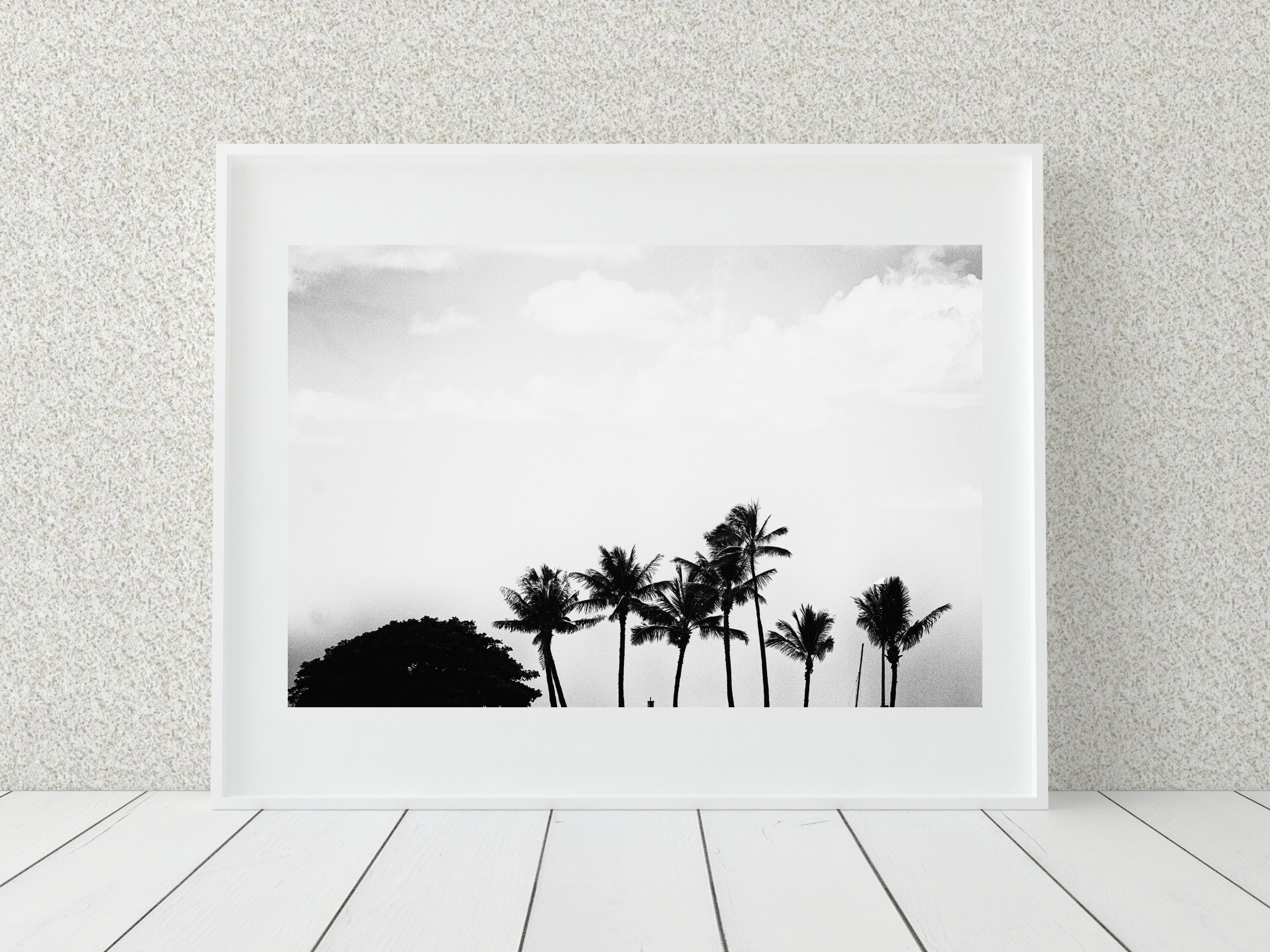 Black and White Palm Wall Art