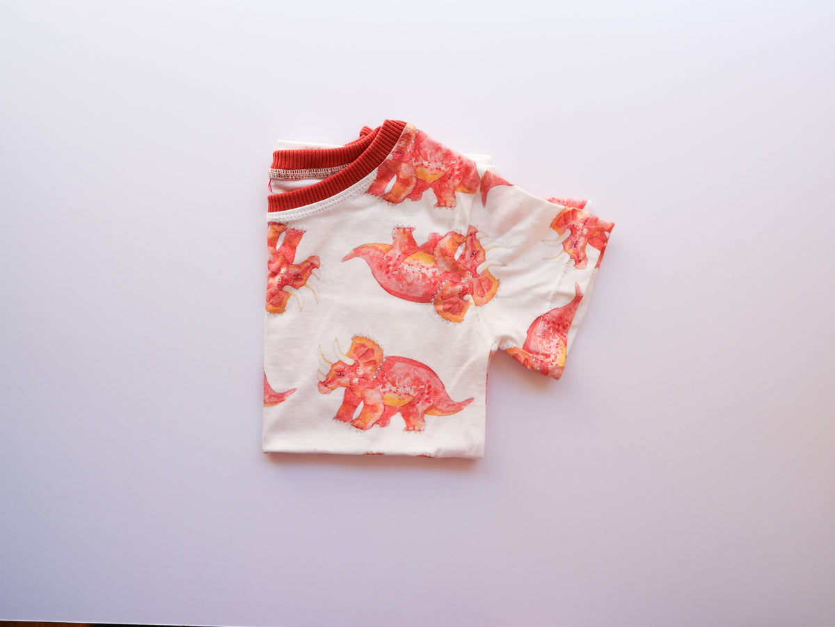 Organic cotton tee shirts for kids in unique hand illustrated designs - sizes 4-9