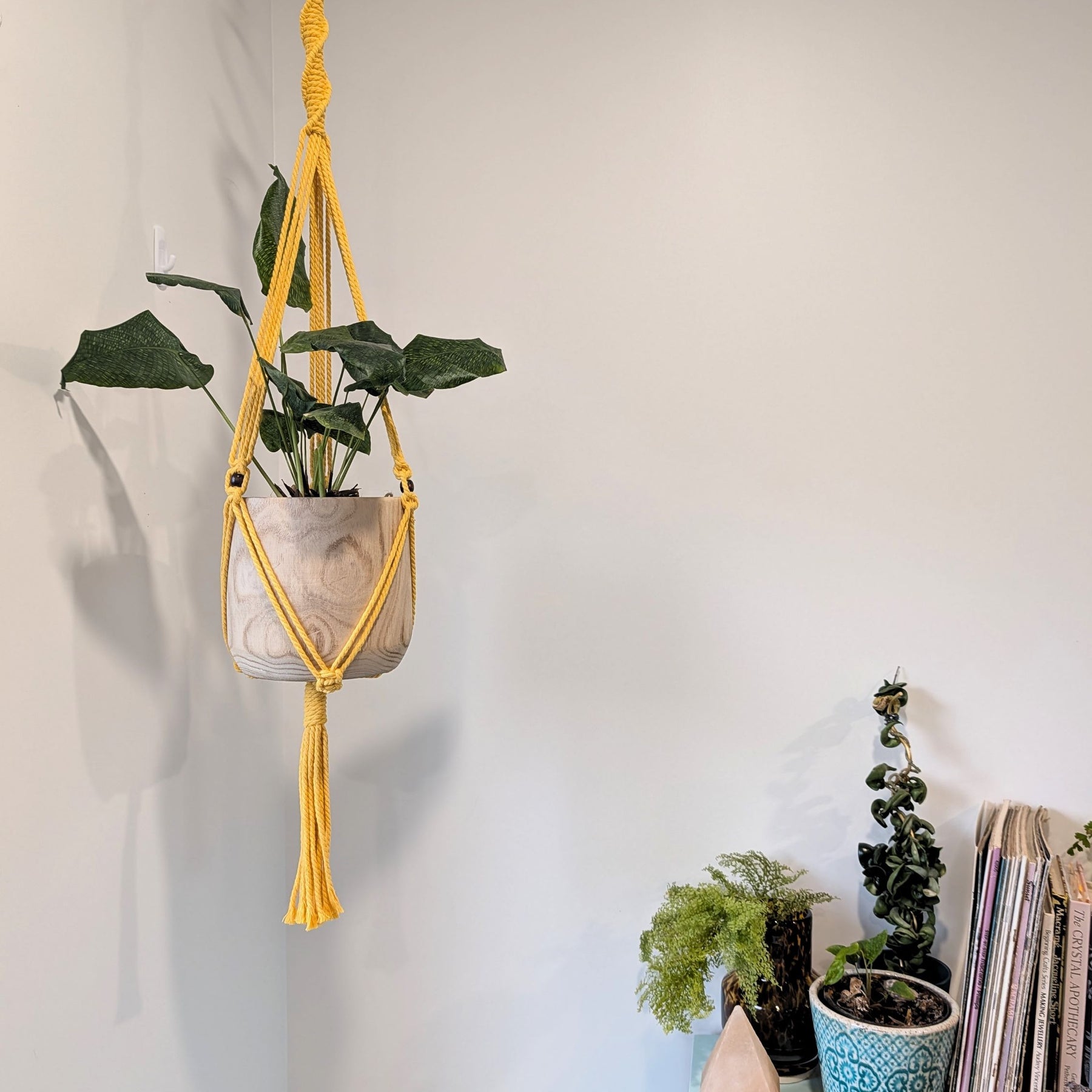 Macrame Plant Hanger - AIYOKA