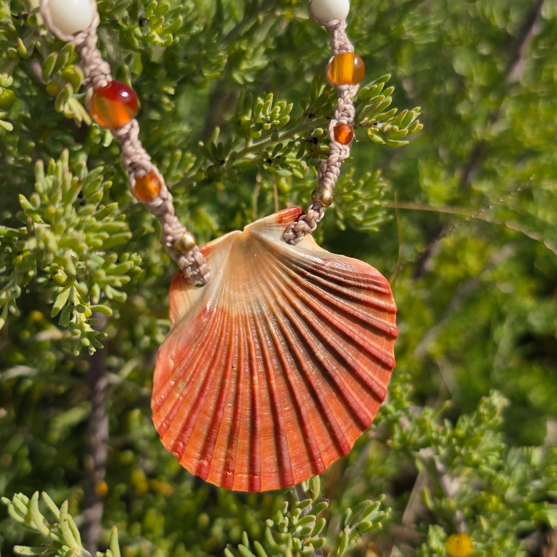 Scallop Shell Necklace with Carnelian & Shell Beads