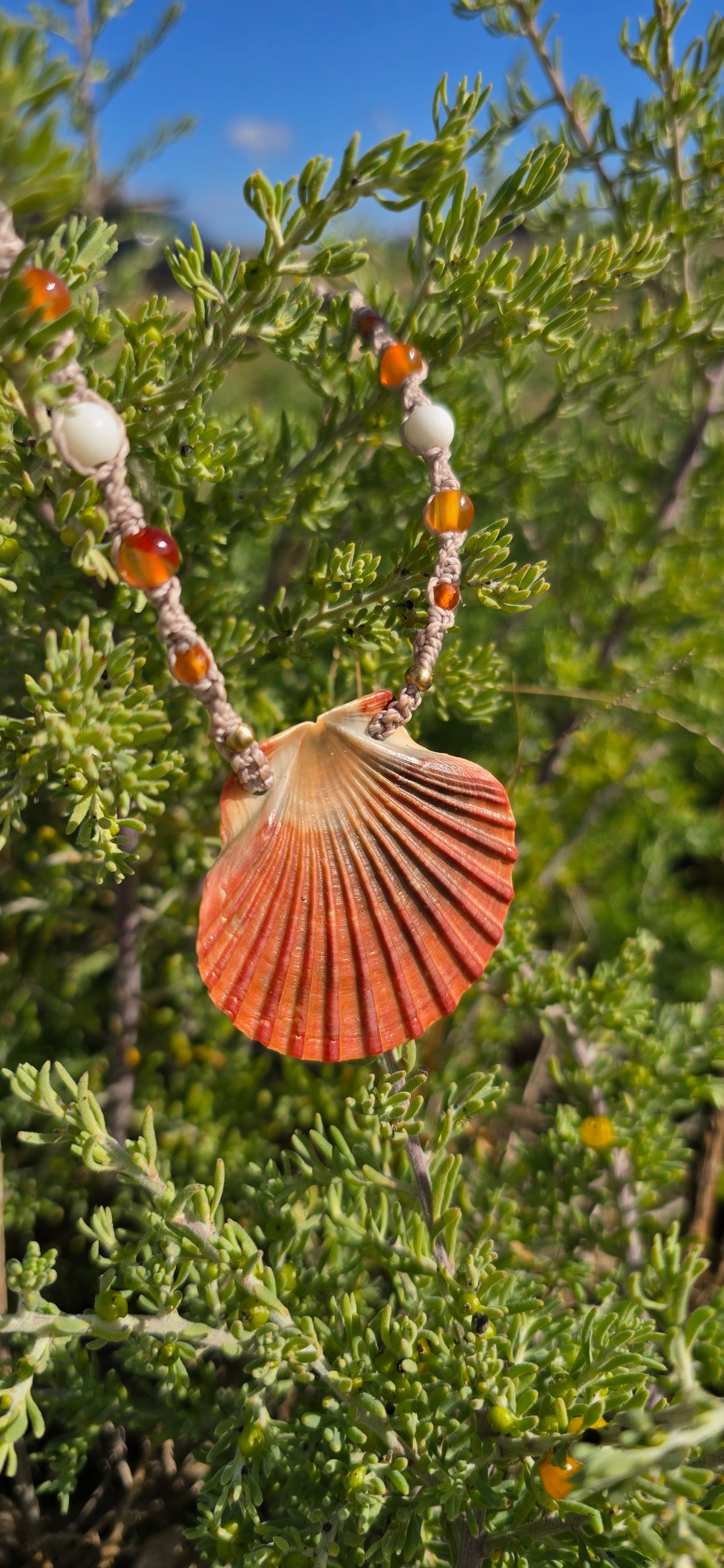 Scallop Shell Necklace with Carnelian & Shell Beads