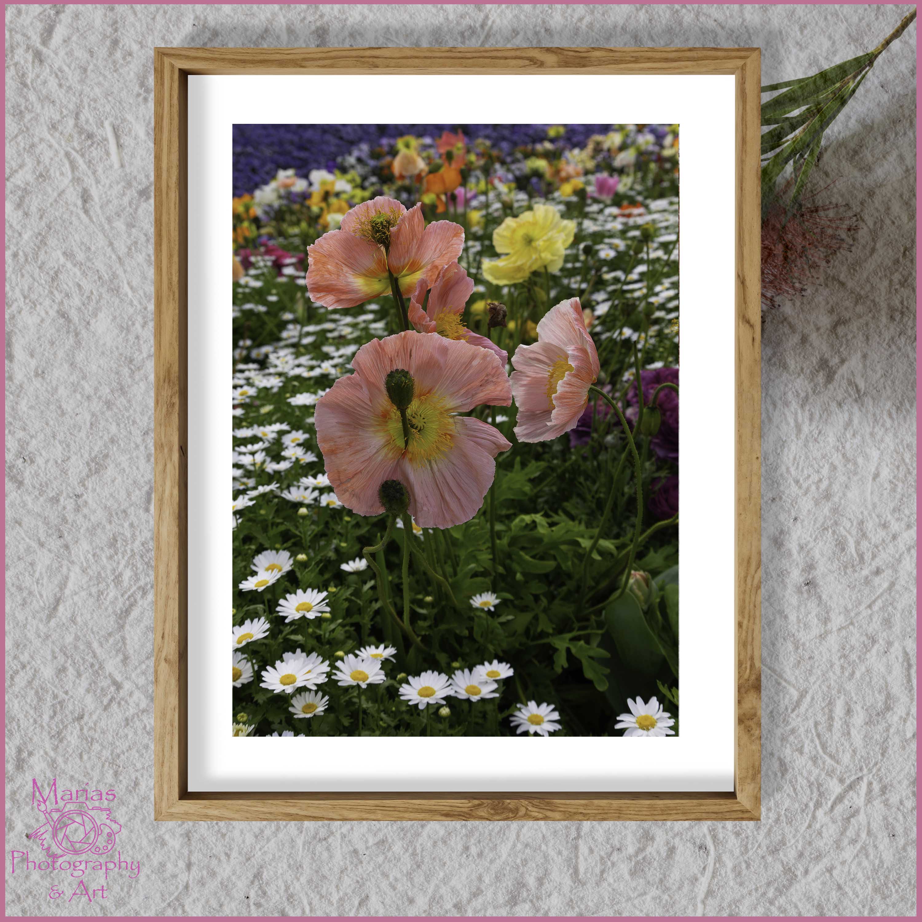 Photographic Print | Wall Art | Flowers