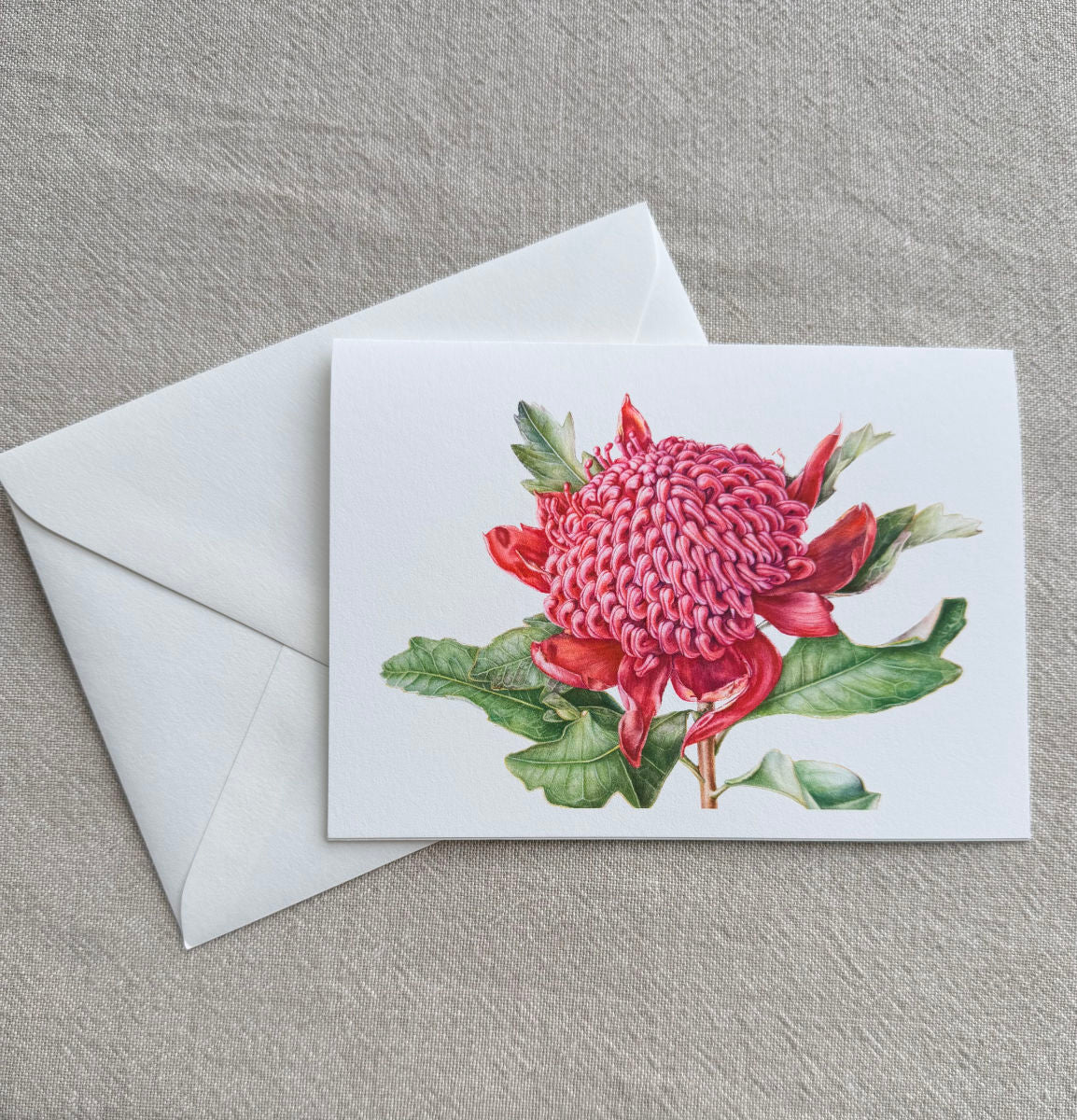 Waratah Botanical Art Card - Print of Original Painting