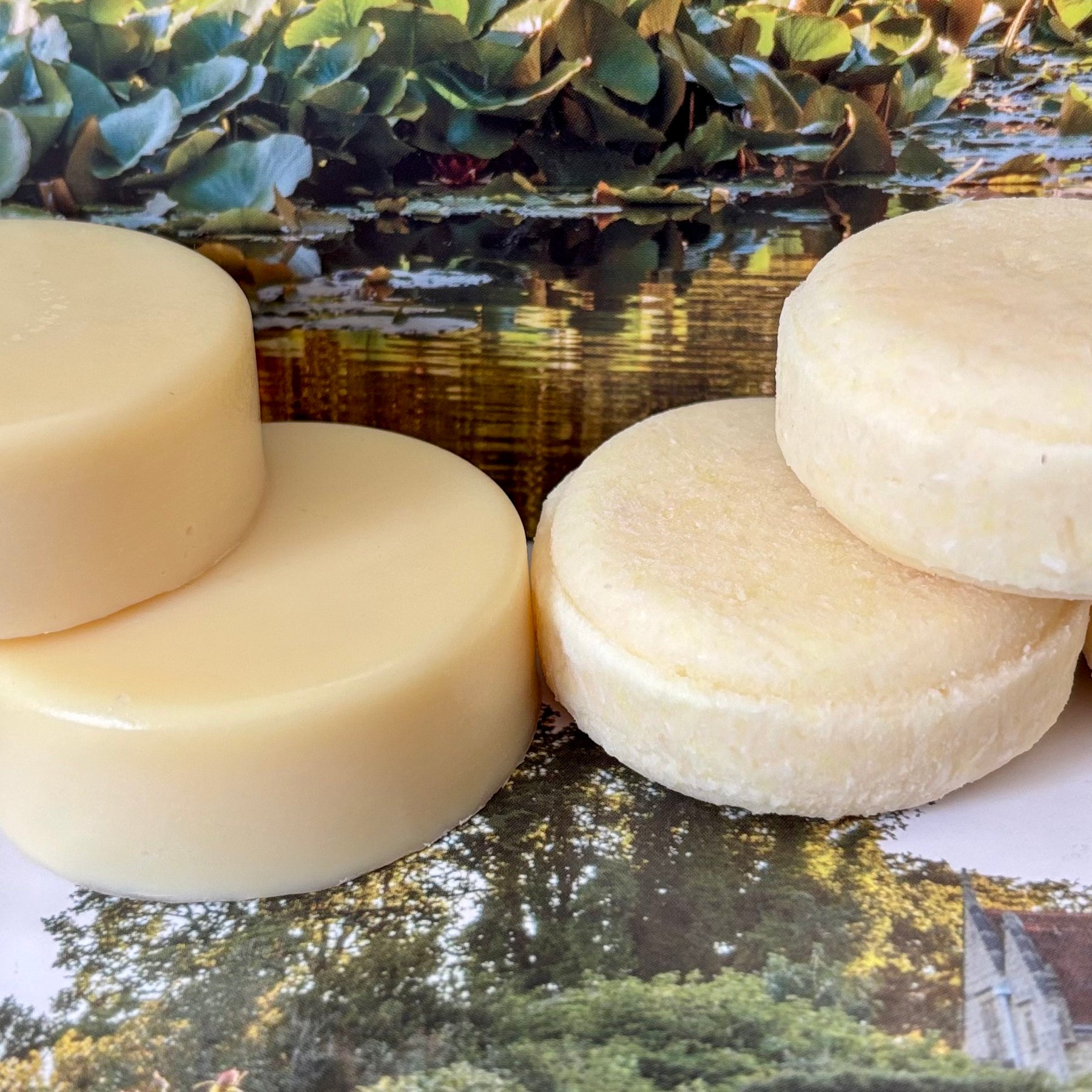 Japanese Honeysuckle Shampoo Bar and Conditioner Bar Twin Pack