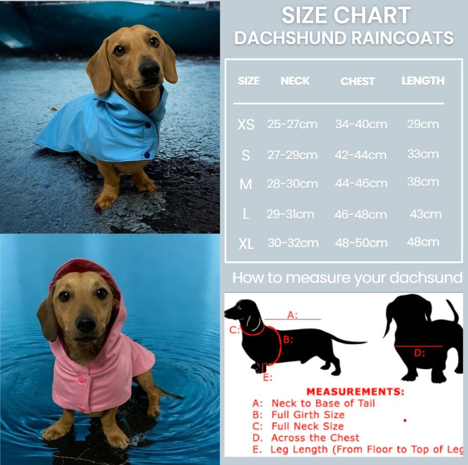 Dachshund dog raincoat for Puppy. Handmade Pet clothing/costume