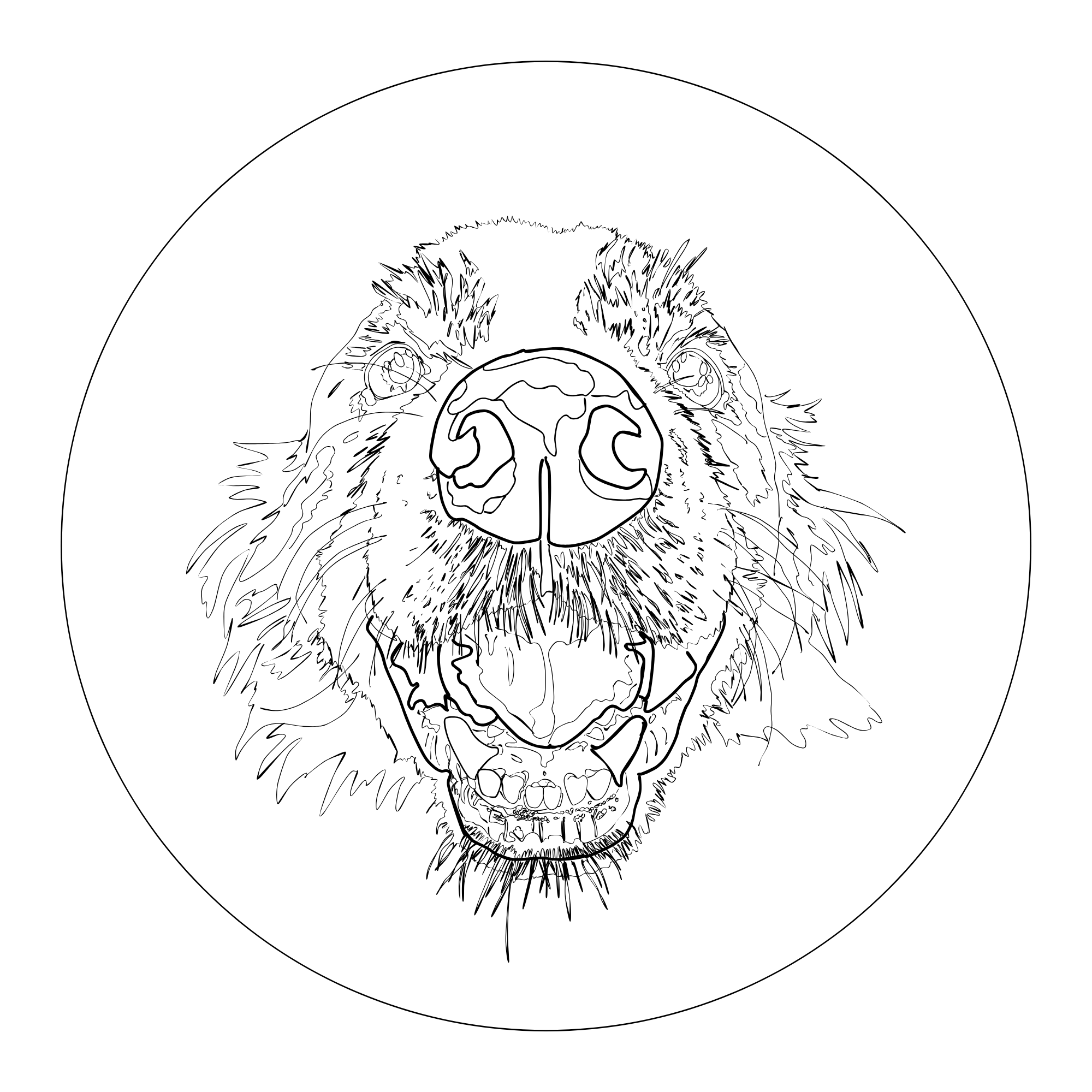 Custom design pet portrait for you to embroider at home
