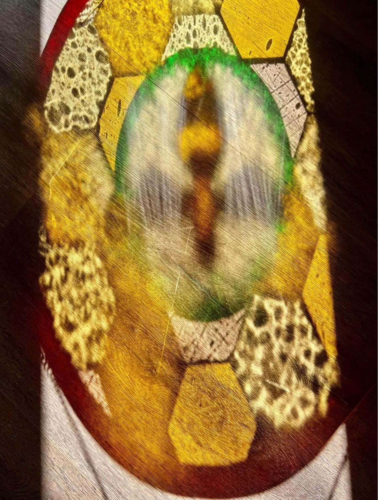 Honey bee stained glass panel