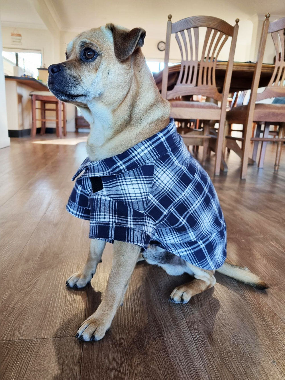 Dog Shirt Coat Jacket up to 20kg Flannelette, Hawaiian