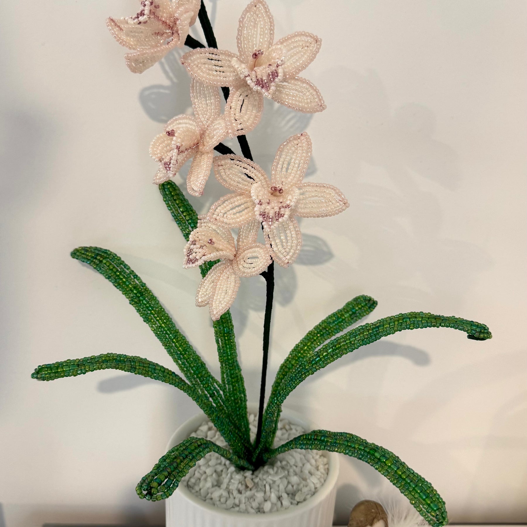 French-beaded miniature Cymbidium Orchid