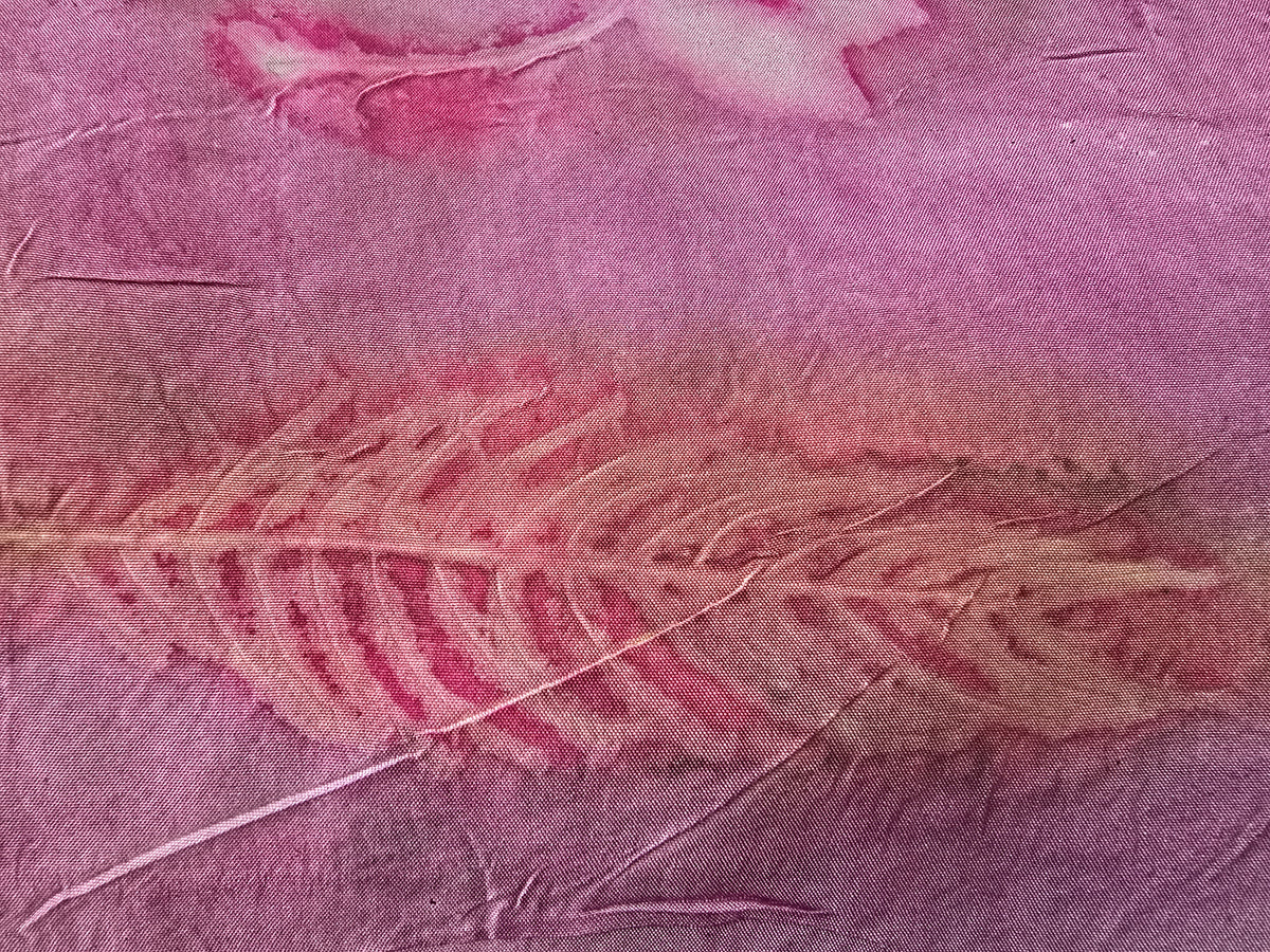 Wandered Leaf Eco-Printed Silk Scarf