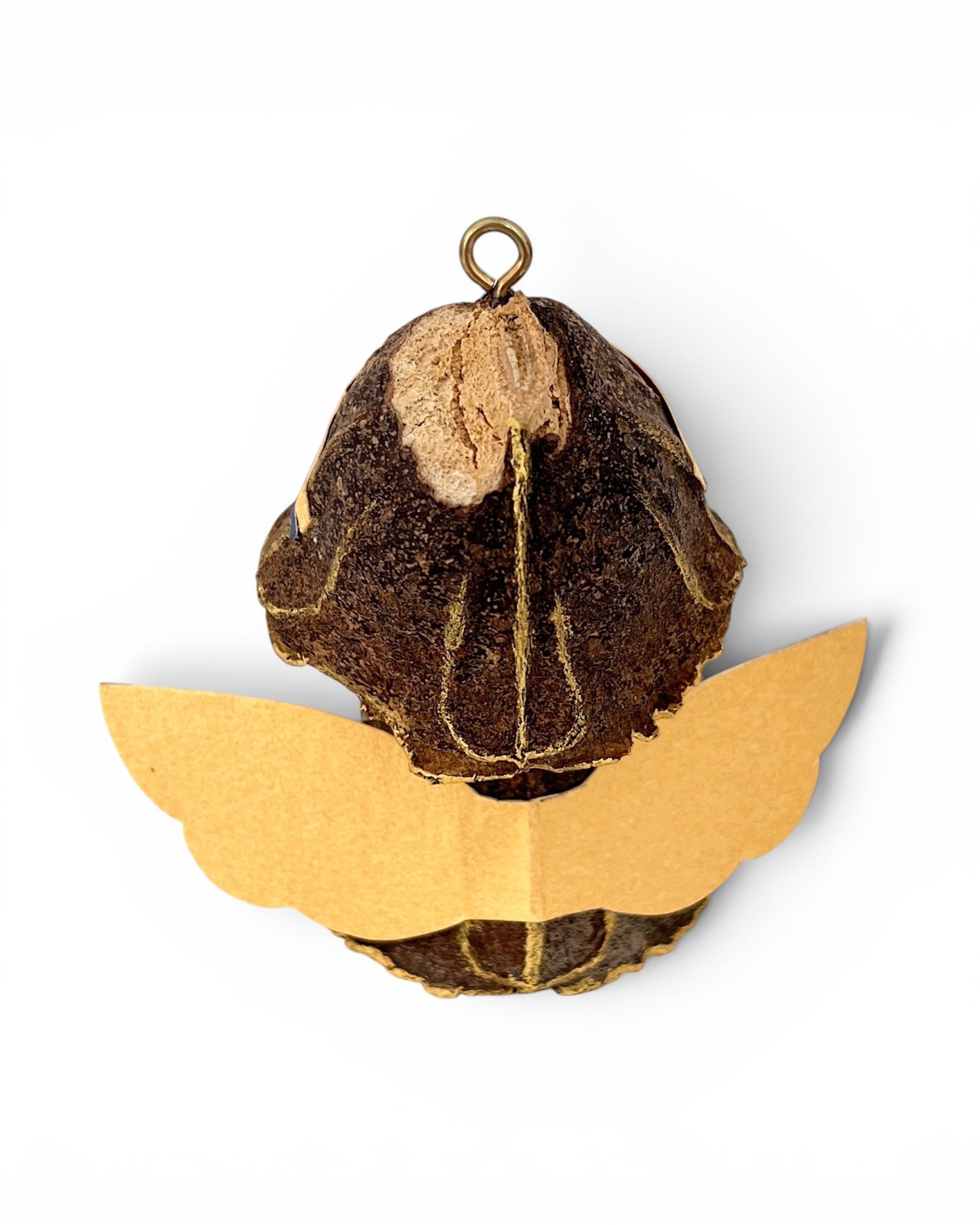 Handmade Gumnut Angel – A Tiny Guardian Full of Heart