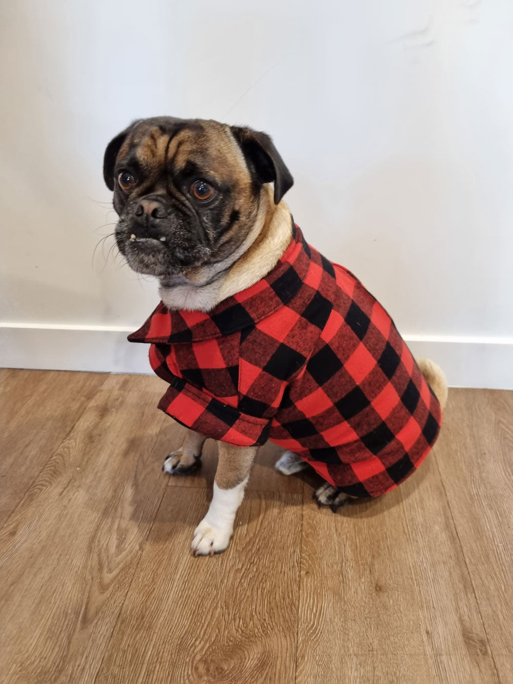 Dog Shirt Coat Jacket up to 20kg Flannelette, Hawaiian