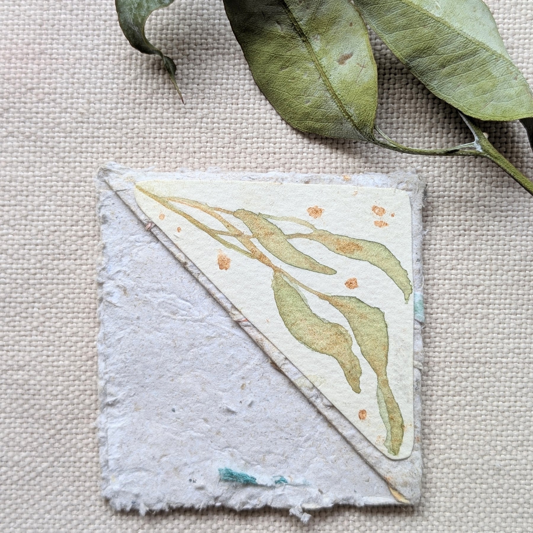 Australian Botanical Corner Bookmark Gift Set – Handmade Watercolour Bookmarks