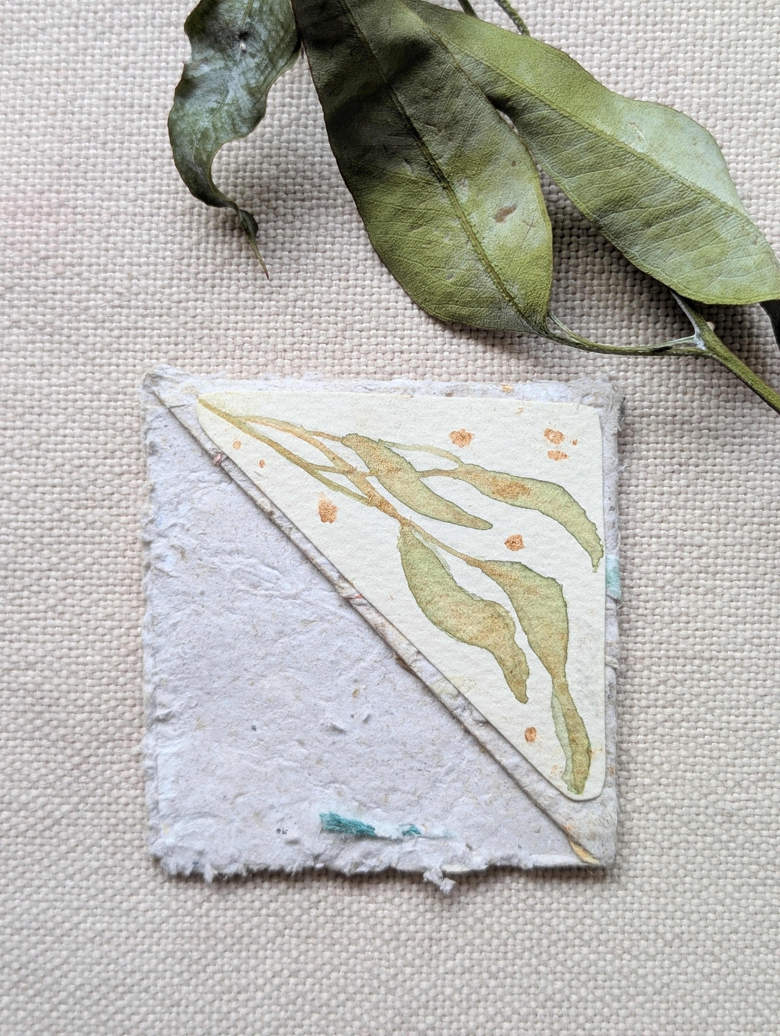 Australian Botanical Corner Bookmark Gift Set – Handmade Watercolour Bookmarks