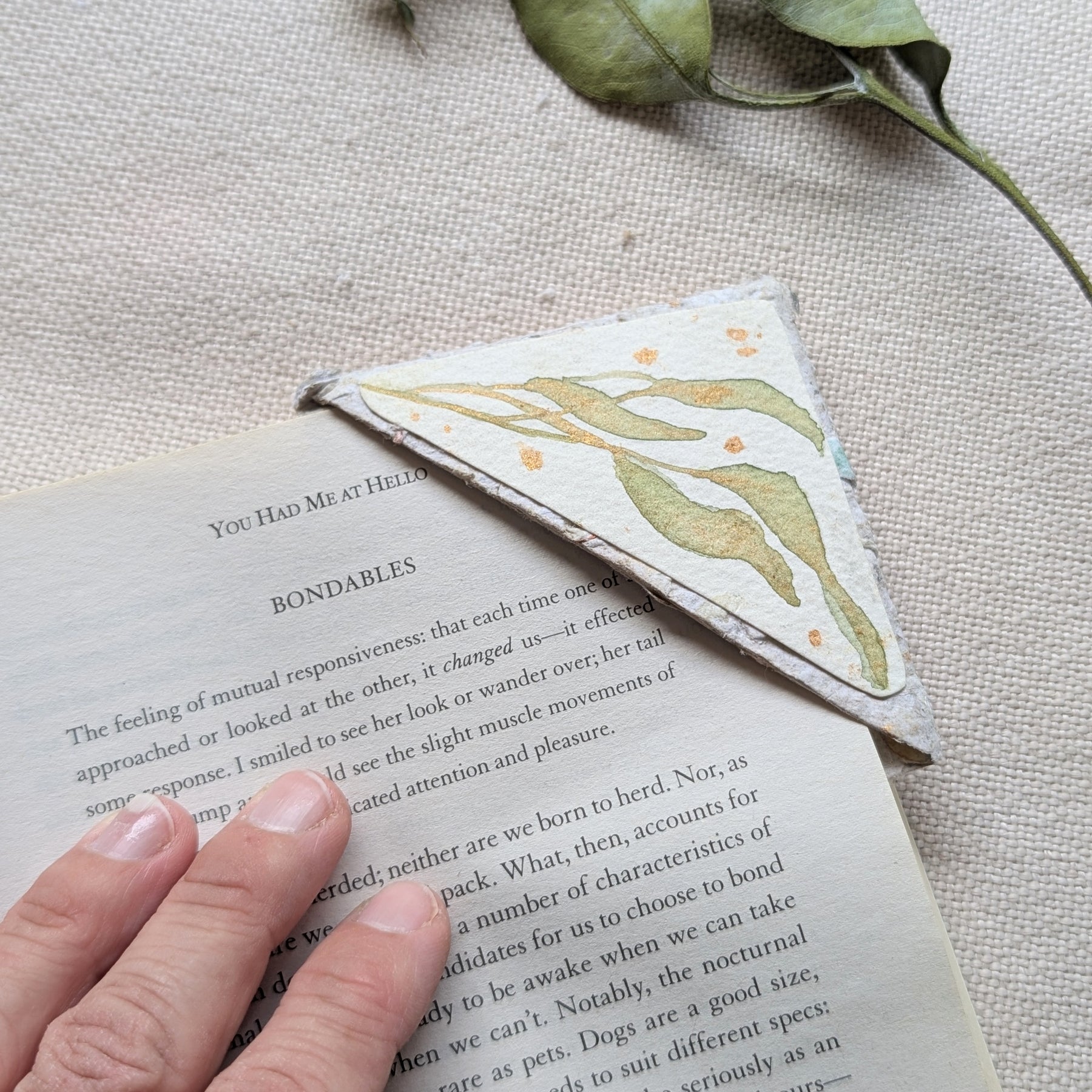 Australian Botanical Corner Bookmark Gift Set – Handmade Watercolour Bookmarks