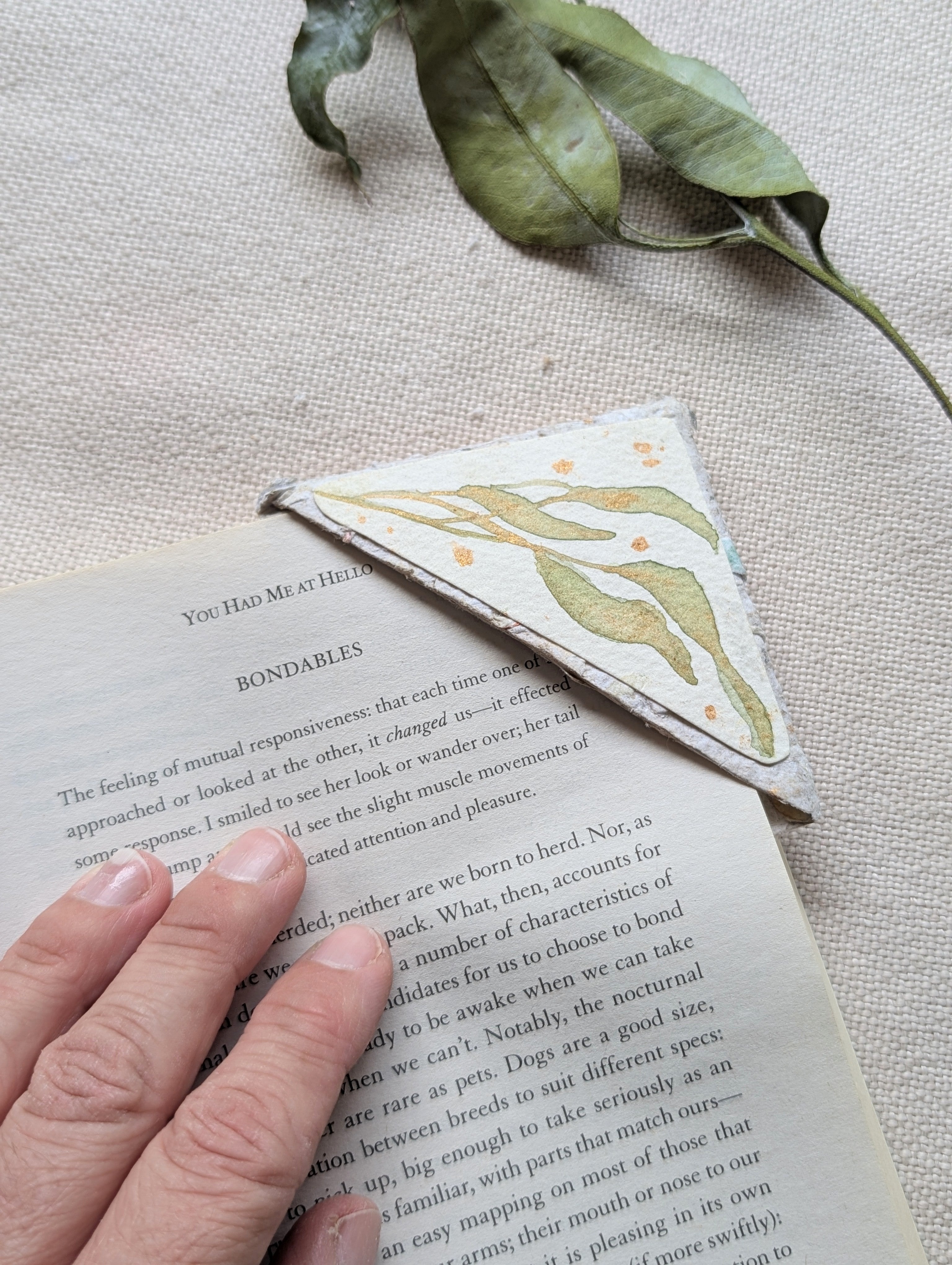 Australian Botanical Corner Bookmark Gift Set – Handmade Watercolour Bookmarks