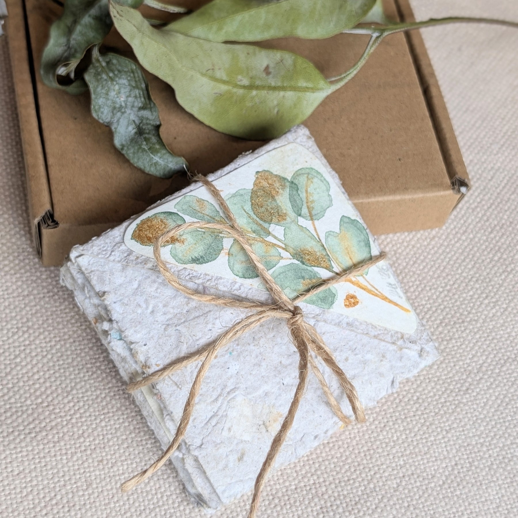 Australian Botanical Corner Bookmark Gift Set – Handmade Watercolour Bookmarks