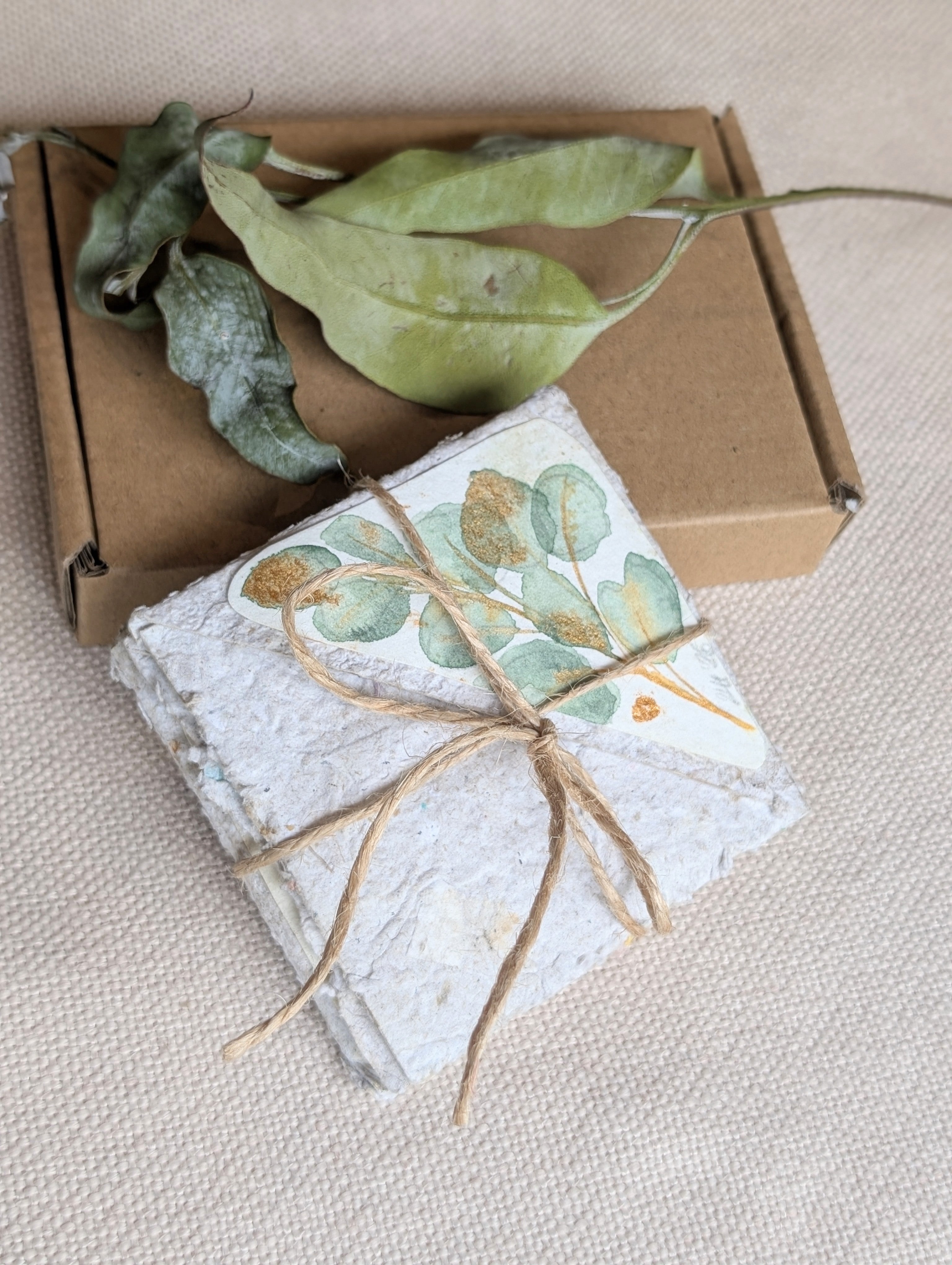 Australian Botanical Corner Bookmark Gift Set – Handmade Watercolour Bookmarks