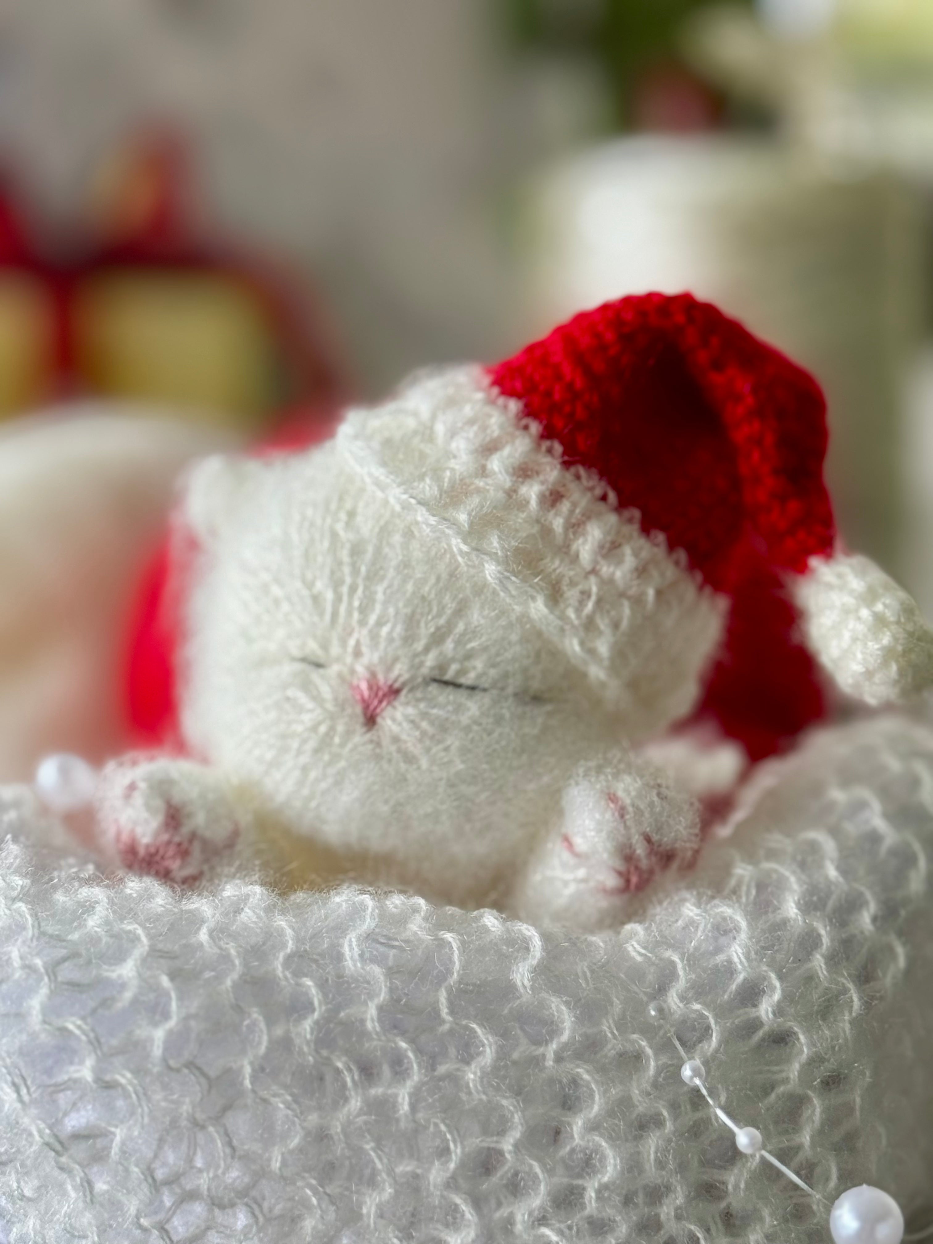 Handmade Christmas White Knitted Sleeping Kitty in Red Santa Hat Toy