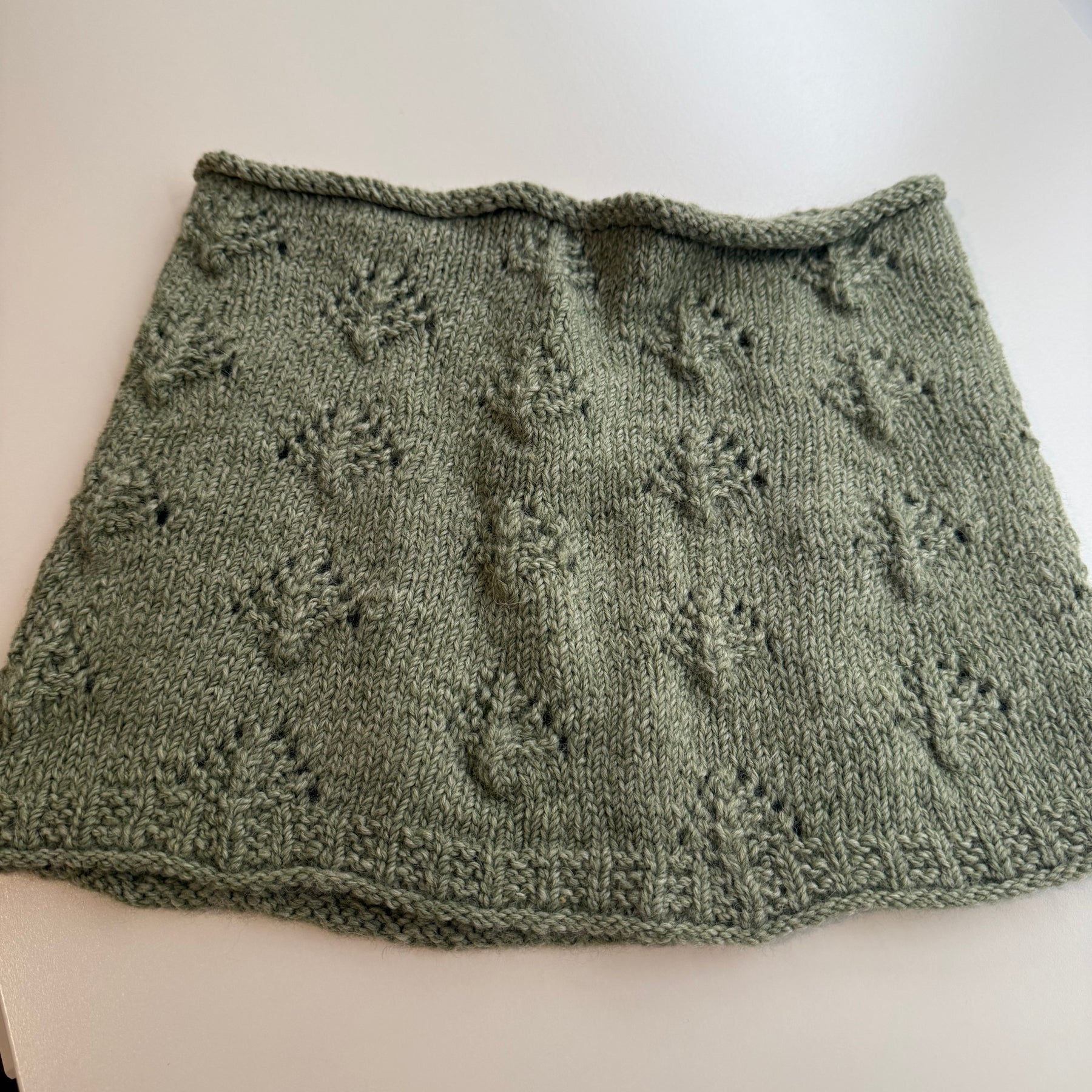 Green Norfolk Pines Cowl