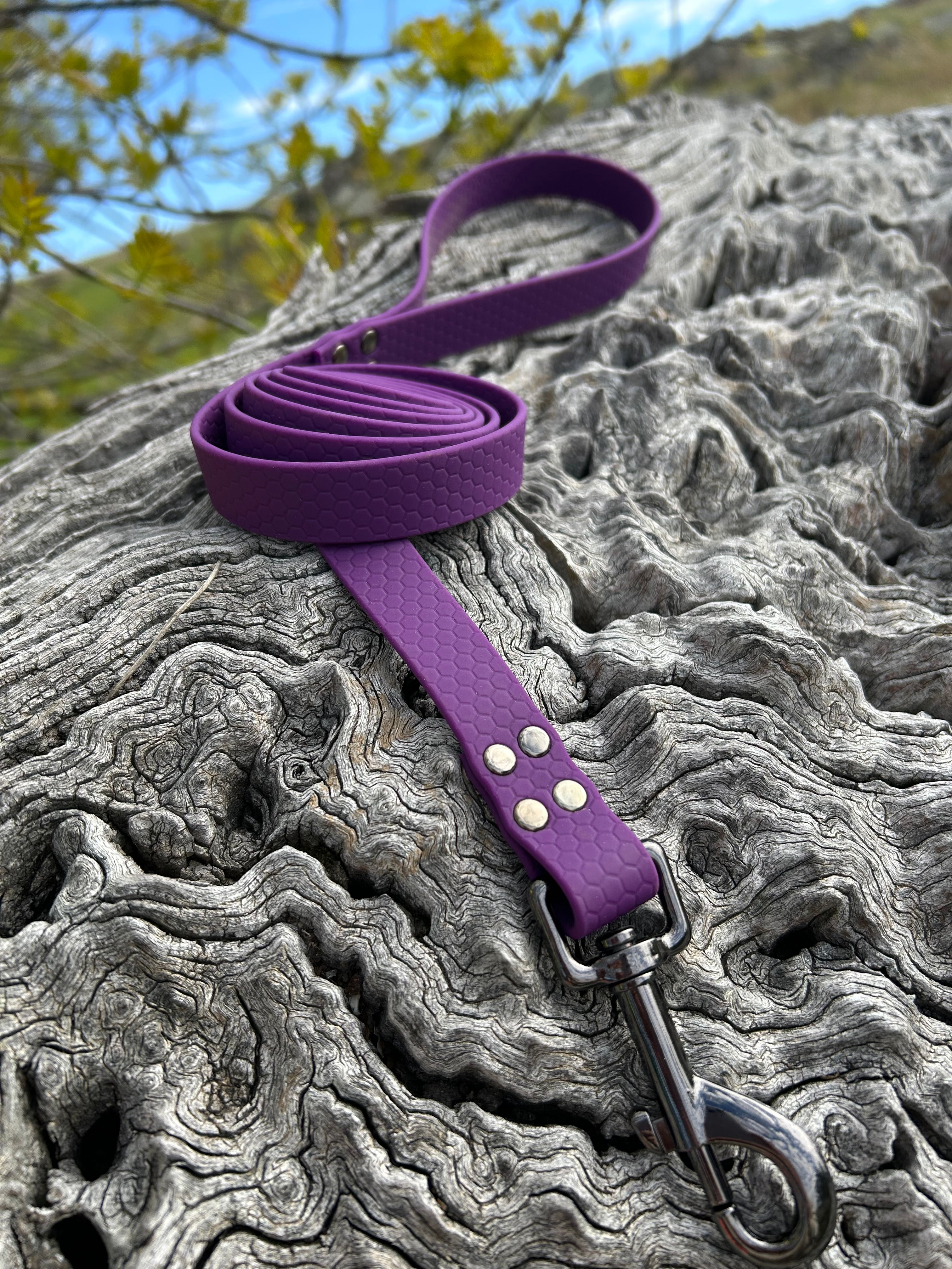 DOG LEAD LEASH WATERPROOF STRONG BRIGHT DURABLE