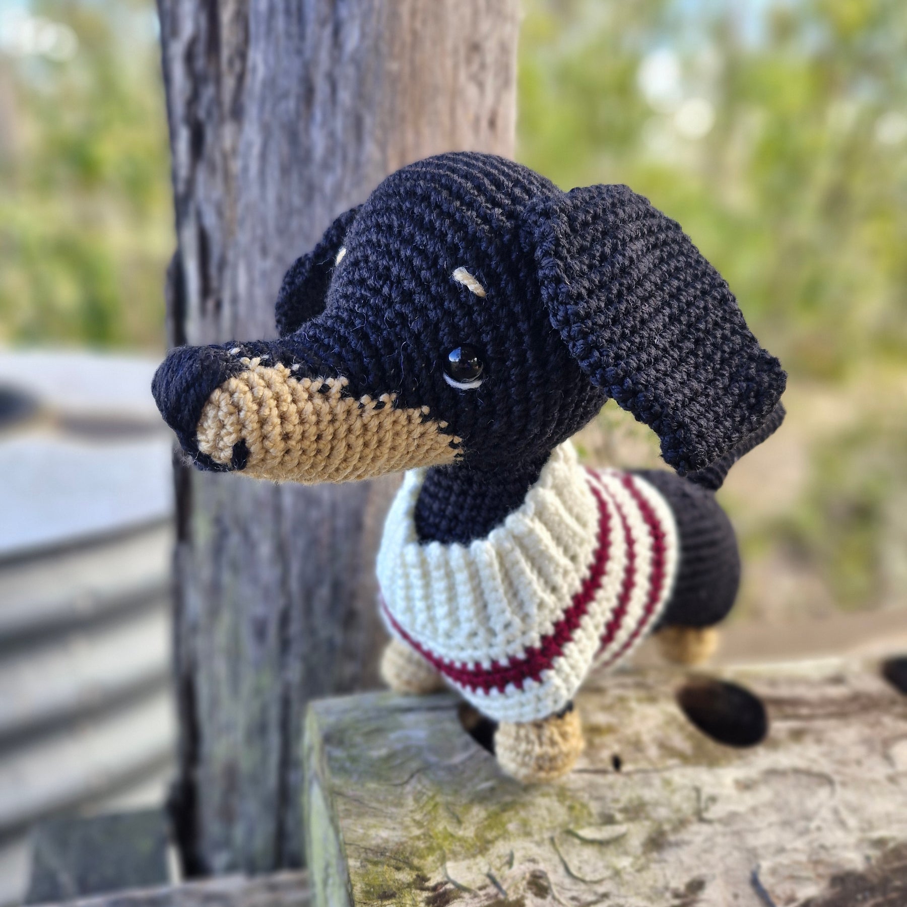 Hand crochet Bi-Colour Dachshund Dog (Sausage Dog)