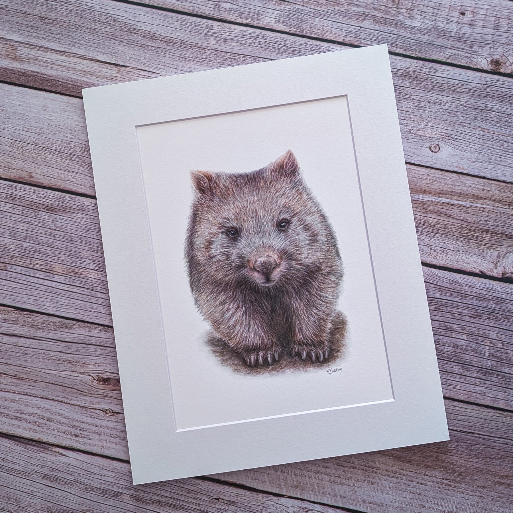 Wombat | Australian Wildlife Art Print
