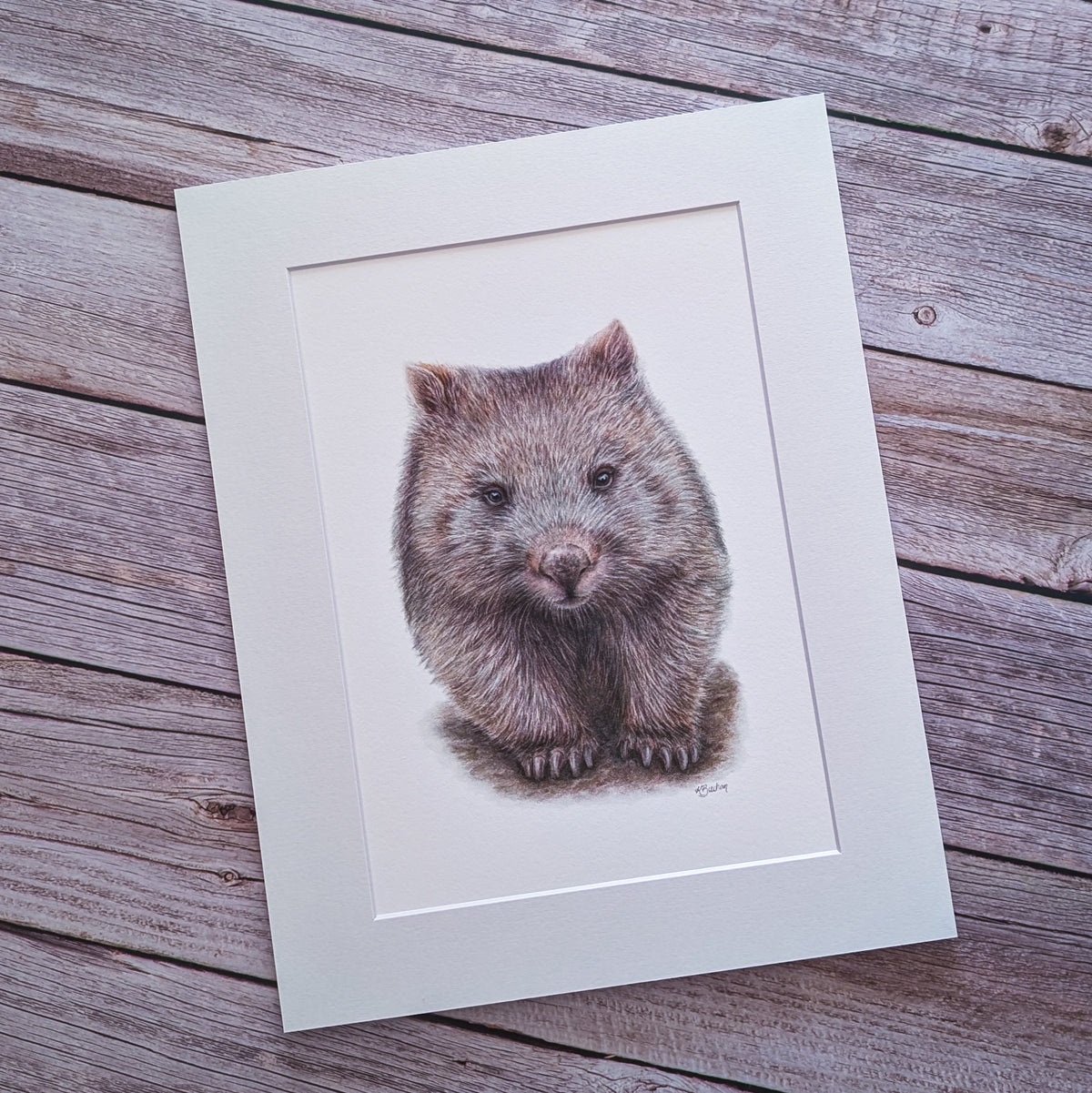 Wombat | Australian Wildlife Art Print