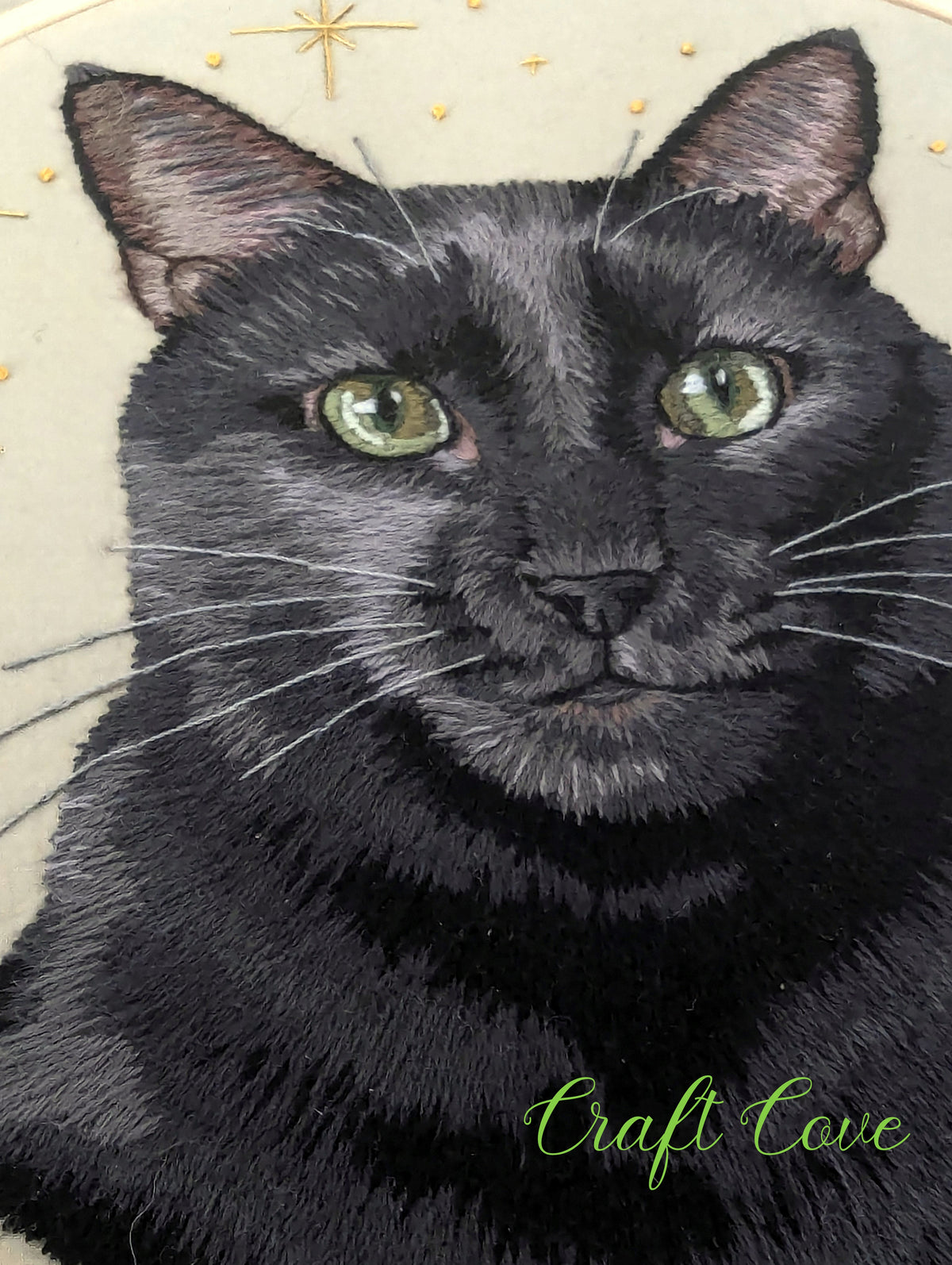 Black Cat Thread Painting – Hand Embroidered Pet Portrait in Hoop